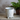 5.91" Engraved Fern Vase