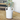 6" 2 Handle Jar