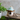 Light Blue Mushroom Birdhouse