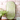 Green Garden Mind Soul Sign