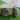 2 Assorted Brown Wash Hedgehogs