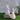 2 Assorted 7.5" Pink/Yellow Phat Bunnies