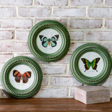3 Assorted Green Frame Butterfly Prints