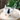 8.1" White Spotted Dog Planter