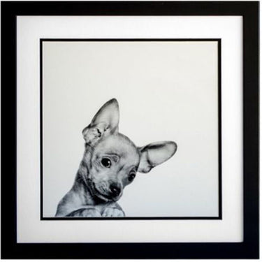 Chihuahua