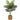 4' ARTIFICIAL PARADISE PALM TREE WITH HANDMADE JUTE AND COTTON BASKET WITH TASSELS