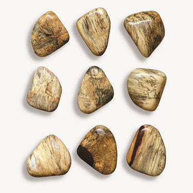 Pebbles Wood Wall Decor, Set Of 9