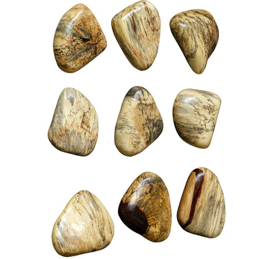 Pebbles Wood Wall Decor, Set Of 9