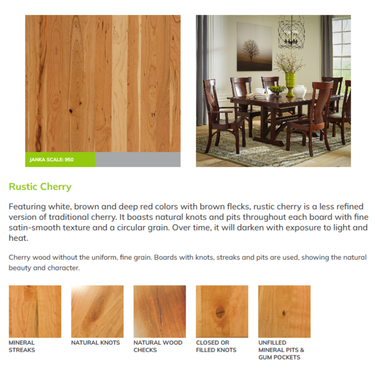 Collins Upholstered Sided Chair