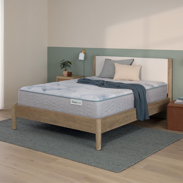 Twin Beauty Sleep 13.75" Plush Quilted Dream Weaver Mattress