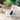 4.9" White Spotted Dog Planter