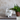 6" Spotted Cat Planter