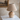 10.6" Vintage Pattern Lamp