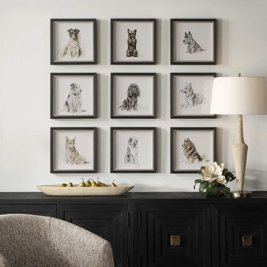 Loyal Companion Framed Prints, Set Of 9