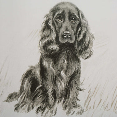 Loyal Companion Framed Prints, Set Of 9