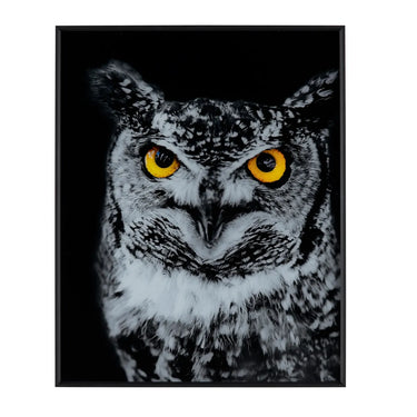 Hoot