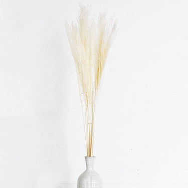 10 Pc White Horsetail Bundle