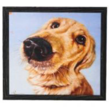 Follow Your Nose-Varies/Price Per Piece