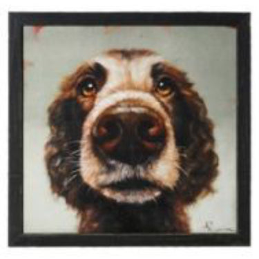 Follow Your Nose-Varies/Price Per Piece