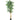 6' ARTIFICIAL FICUS SILK TREE