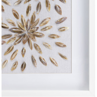 Seashells With White Frame