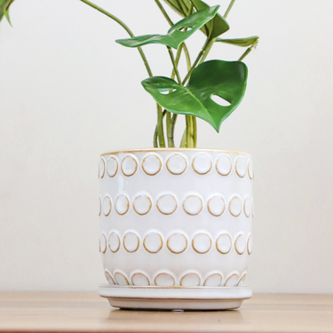 4.5" Ceramic Dot Pot