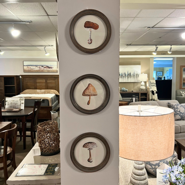 3 Assorted Mushroom Wall Art Pieces